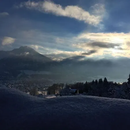 Dream View - Alpine Star *
