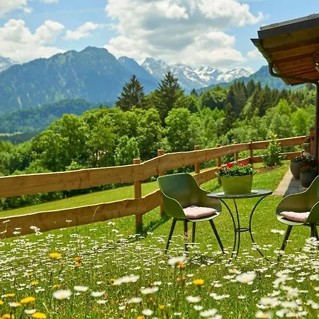 Dream View - Alpine Star *